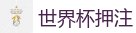FIFA世界杯 (FIFA World Cup)官方竞猜指定平台